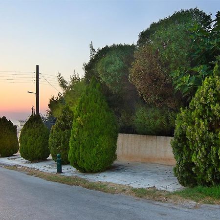 Luxury Villa Sea Melody Palaiá Fókaia Exteriör bild
